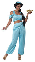 Classic Arabian Princess California Costumes Jasmin Adult Medium 8-10